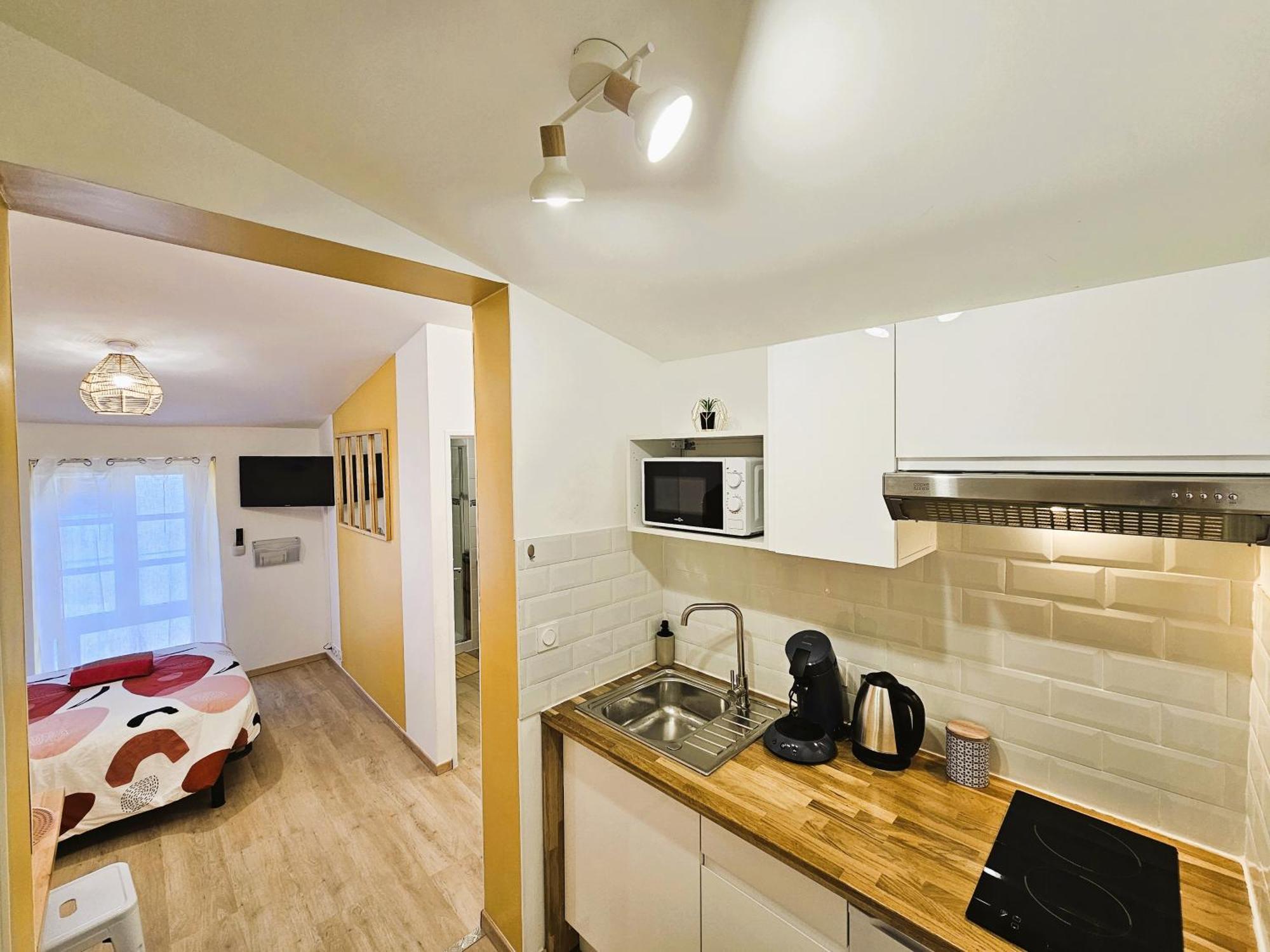 Tout Confort ! Centre-Ville, Climatisation, Parking, Wifi, Calme, Tv Каркассон Экстерьер фото
